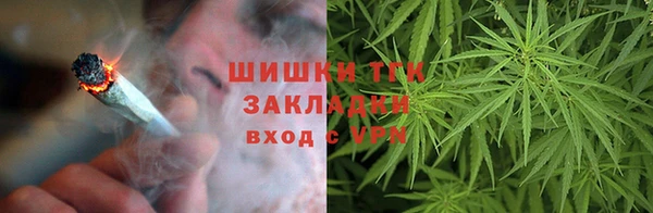 дмт Алзамай