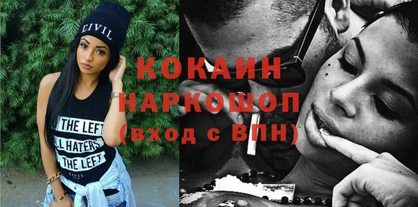 шишки Абаза