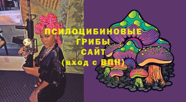 дмт Алзамай