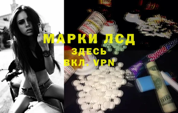 шишки Абаза