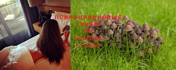 таблы Россошь
