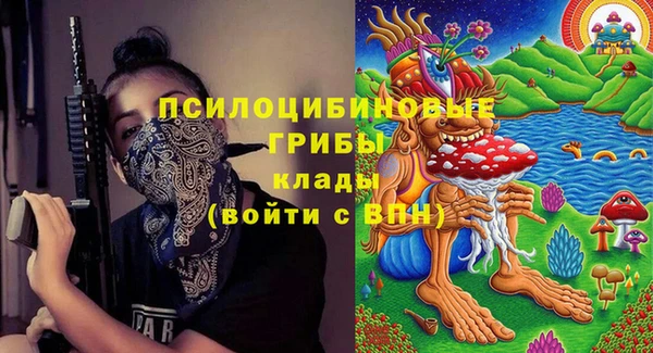 дмт Алзамай