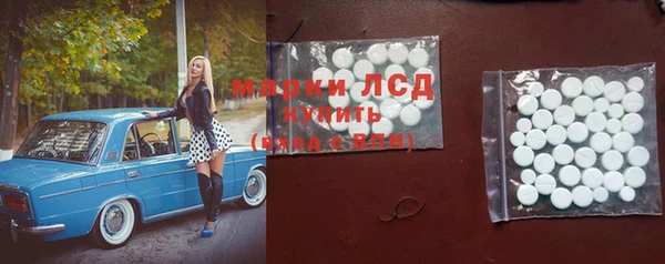 дмт Алзамай