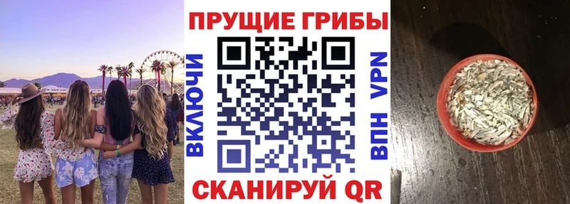 Галлюциногенные грибы Cubensis  Судогда 